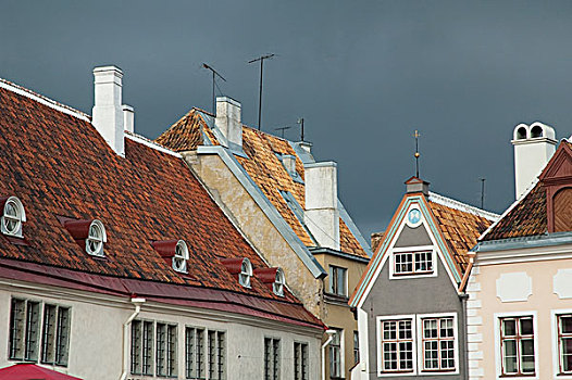 住宅建筑,屋顶,老城,塔林,爱沙尼亚