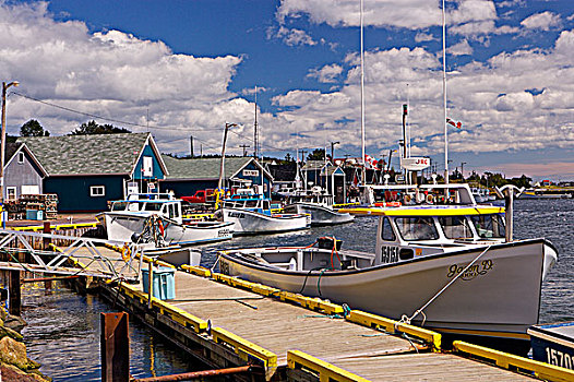 渔船,捆绑,码头,城镇,圣劳伦斯湾,公路,蓝鹭,沿岸,驾驶,爱德华王子岛,加拿大