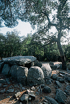 巨石,墓地,2000年,省,赫罗纳,加泰罗尼亚,西班牙