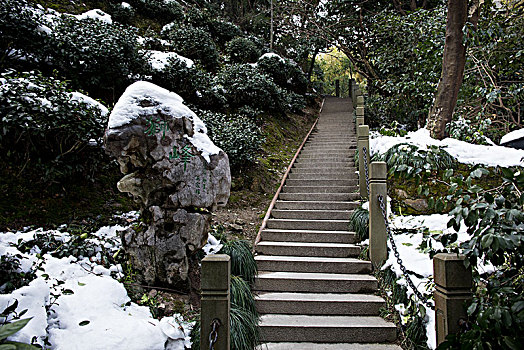 杭州,龙井村,狮峰山,步行道