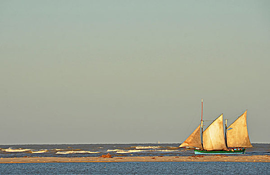 马达加斯加,穆龙达瓦,渔民,船,大,白色,帆,海上