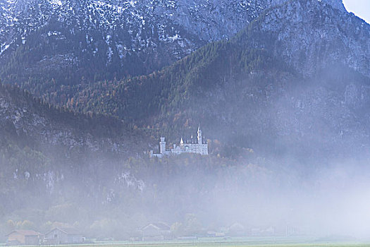 新天鹅堡,雾,史旺高,巴伐利亚,德国