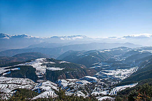 云南东川红土地,打马坎,雪后梯田