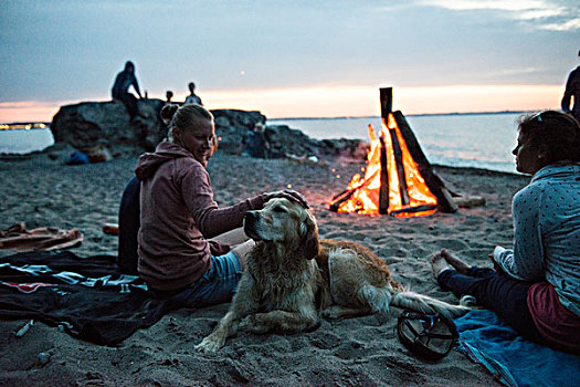 朋友,狗,营火,海滩
