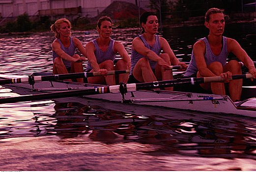 女性,桨手,日落,多伦多,安大略省,加拿大