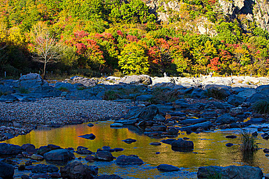 河道,河床,断流,干涸,旱季,石头,河卵石,倒影,植被,自然,风光,本溪,湖里村,秋季,红叶