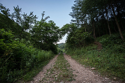 山间小路