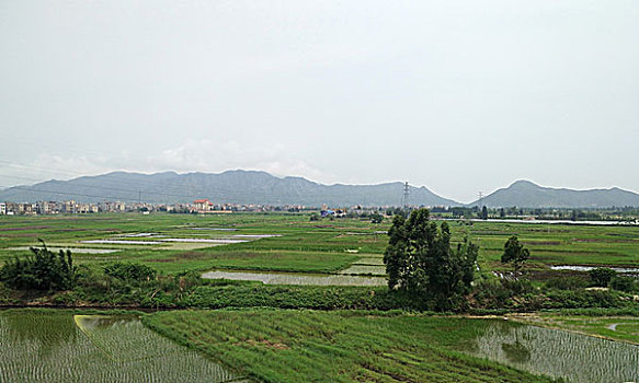 農業