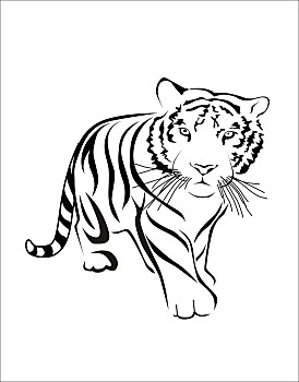 简笔画老虎的背景图图片