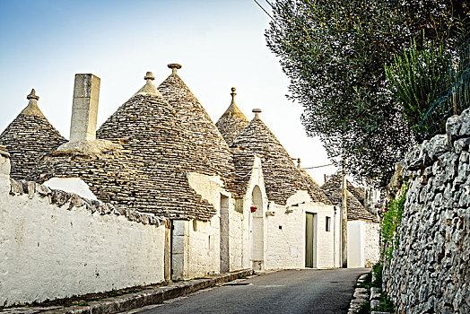 街道,传统,锥形石灰板屋顶,房子,阿贝罗贝洛,普利亚区,意大利,欧洲