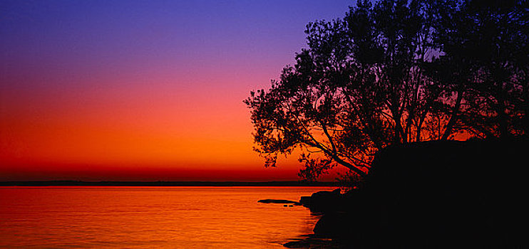 日落,上方,水,树,劳伦斯河,州立公园,纽约,美国