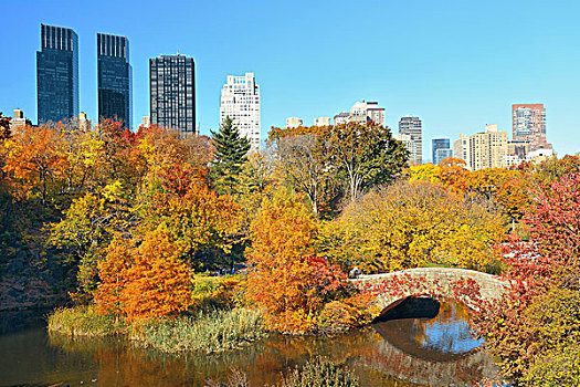 曼哈顿,中央公园,桥,摩天大楼,秋天,纽约