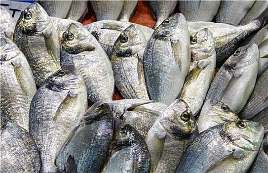 鲜鱼,市场