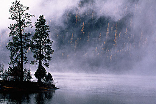 上升,雾,三文鱼,湖,蒙大拿,美国