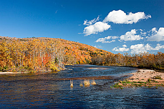 河,秋天,布雷顿角,新斯科舍省,加拿大