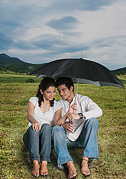 伴侣,遮蔽,伞,土地