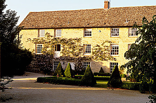 英国,郊区住宅,建筑,风景,花园,树篱