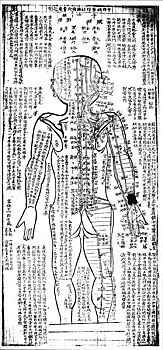 针灸,图表,后面,日本,19世纪,艺术家,未知