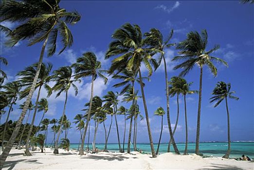 多米尼加共和国,绍纳岛,海滩