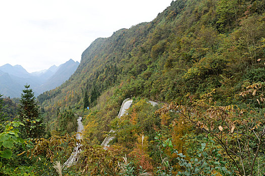 农村山区道路