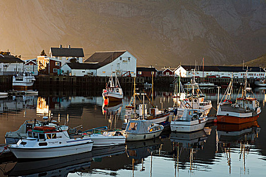 船,港口,峡湾,落日,罗弗敦群岛,北方,挪威