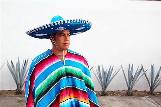 英俊,墨西哥人,男人,帽子,龙舌兰