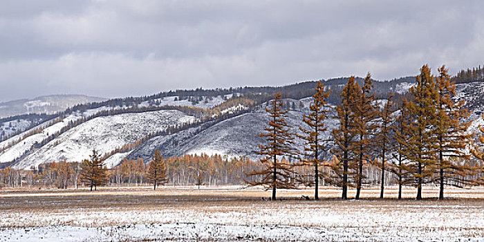 阿尔山雪景