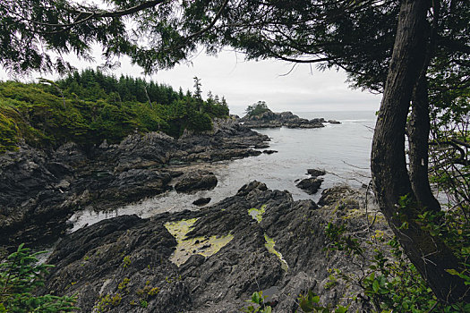 遥远,沿岸,风景,岛屿,悬崖,云