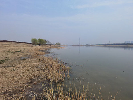 湖泊,渭河湿地,自然风光,湿地公园河流,西安渭河生态区,渭河河堤公园河流与,河畔风光,城市建筑,灞渭湿地,渭河,城市景观,杨凌渭河湿地公园