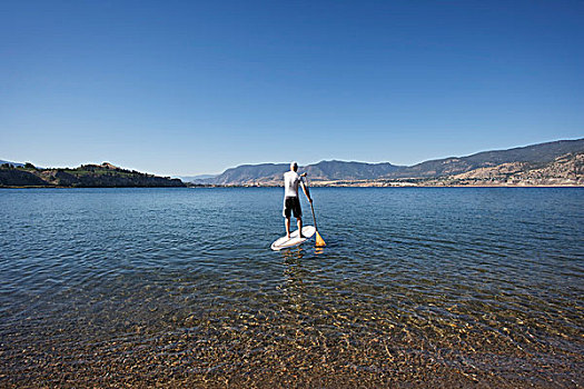 男人,站立,船桨,冲浪,湖,潘提顿,不列颠哥伦比亚省,加拿大