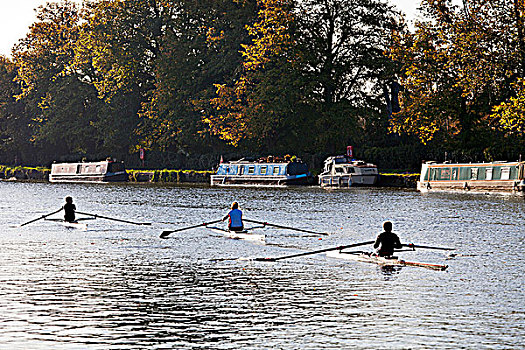 英格兰,牛津,一个,短桨,划船,泰晤士河