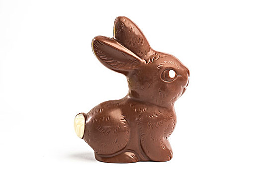 巧克力兔