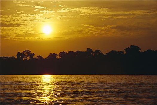 日落,上方,低地,热带雨林,亚马逊河,亚马逊盆地,巴西