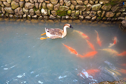 水渠,水系,流水人家,洗衣