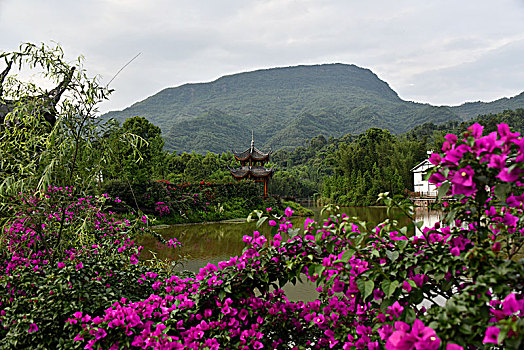 贵州赤水凤凰村湿地公园,美丽新农村的样板