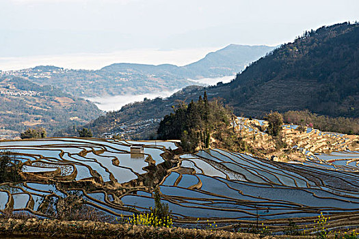 云南,元阳梯田,徐学哲摄影,尼康,年,月