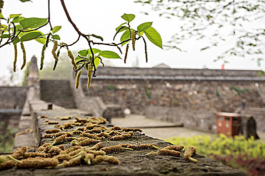 城墙,古代建筑,城门