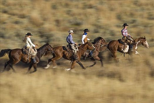 牛仔,女牛仔,骑,家养马,马,一对,地点,俄勒冈