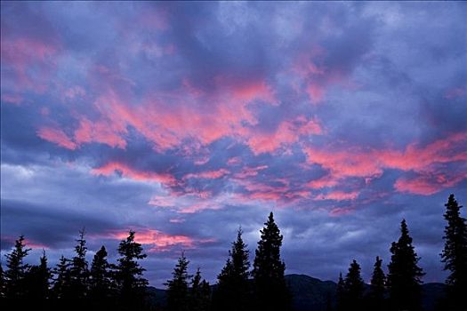 日落,德纳里峰国家公园,阿拉斯加