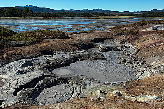 地热,泥,水池,堪察加半岛,俄罗斯