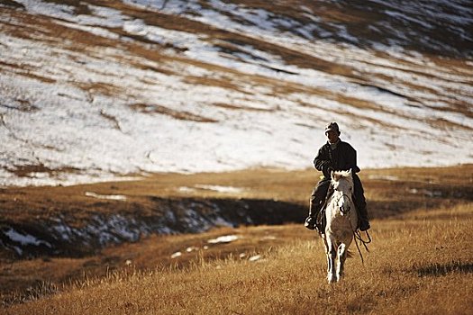 男人,骑,马,国家公园,蒙古