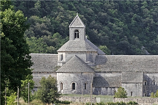 塞农克修道院,普罗旺斯
