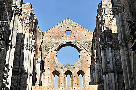 大教堂,遗址,西多会,教堂,靠近,锡耶纳省,托斯卡纳,意大利,欧洲