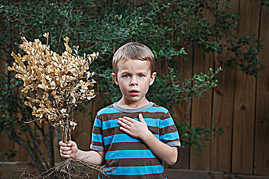 肖像,小男孩,拿着,植物,休斯顿,德克萨斯,美国