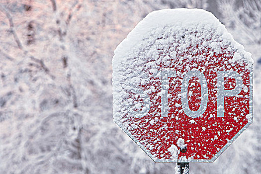 停车标志,遮盖,雪,冬天,安大略省,加拿大