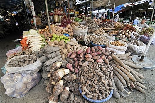 市场货摊,根菜类,球根,永隆,湄公河三角洲,越南,亚洲