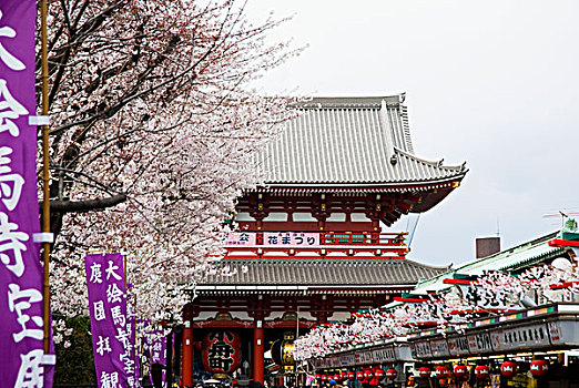 日本寺庙,东京,日本