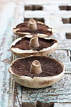 三个,蘑菇,木质,表面