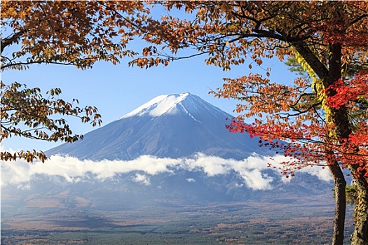 山,富士山,日本