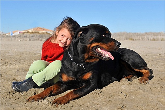 罗特韦尔犬,孩子,海滩